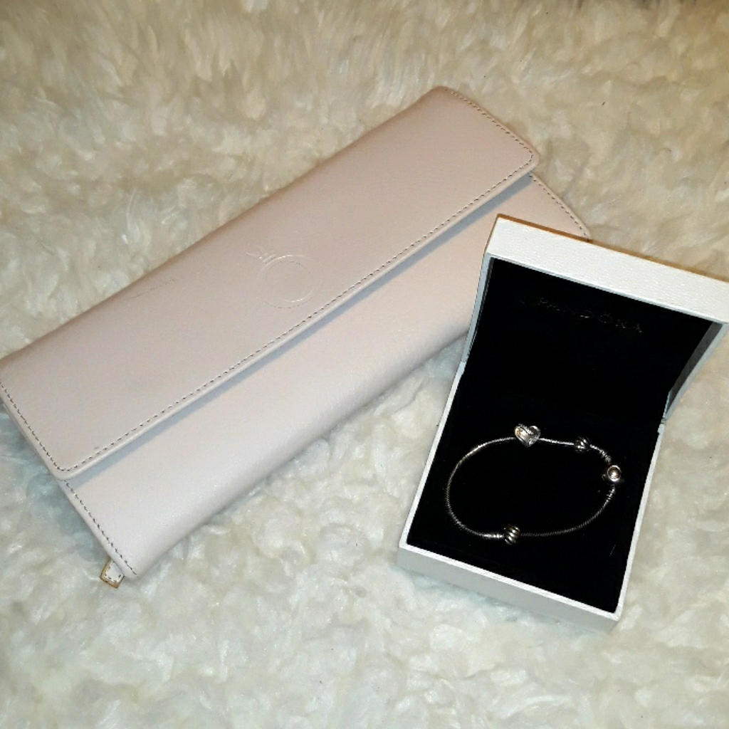 Authentic Pandora Jewerly Case